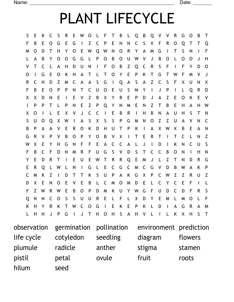 PLANT LIFECYCLE Word Search WordMint PLANT LIFECYCLE Word Search WordMint