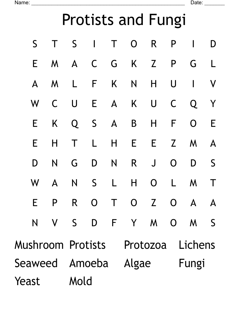 Protists And Fungi Word Search WordMint