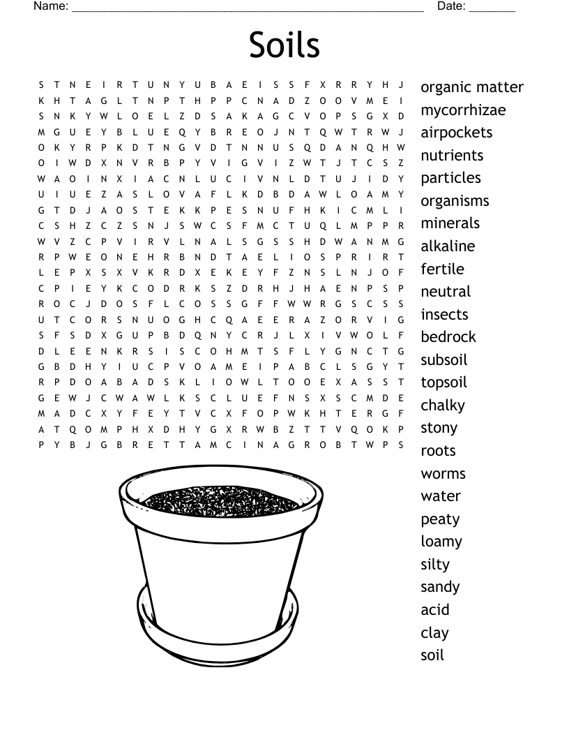 Soil Word Search WordMint