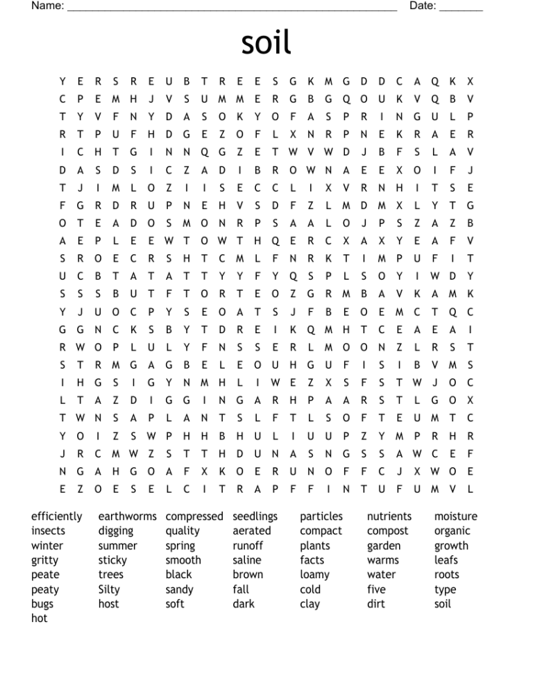 Soil Word Search WordMint