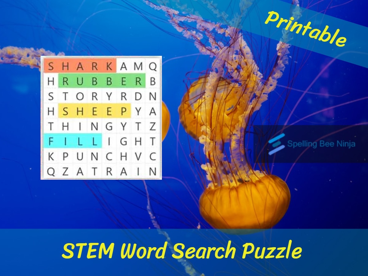 Stem Word Search Printable