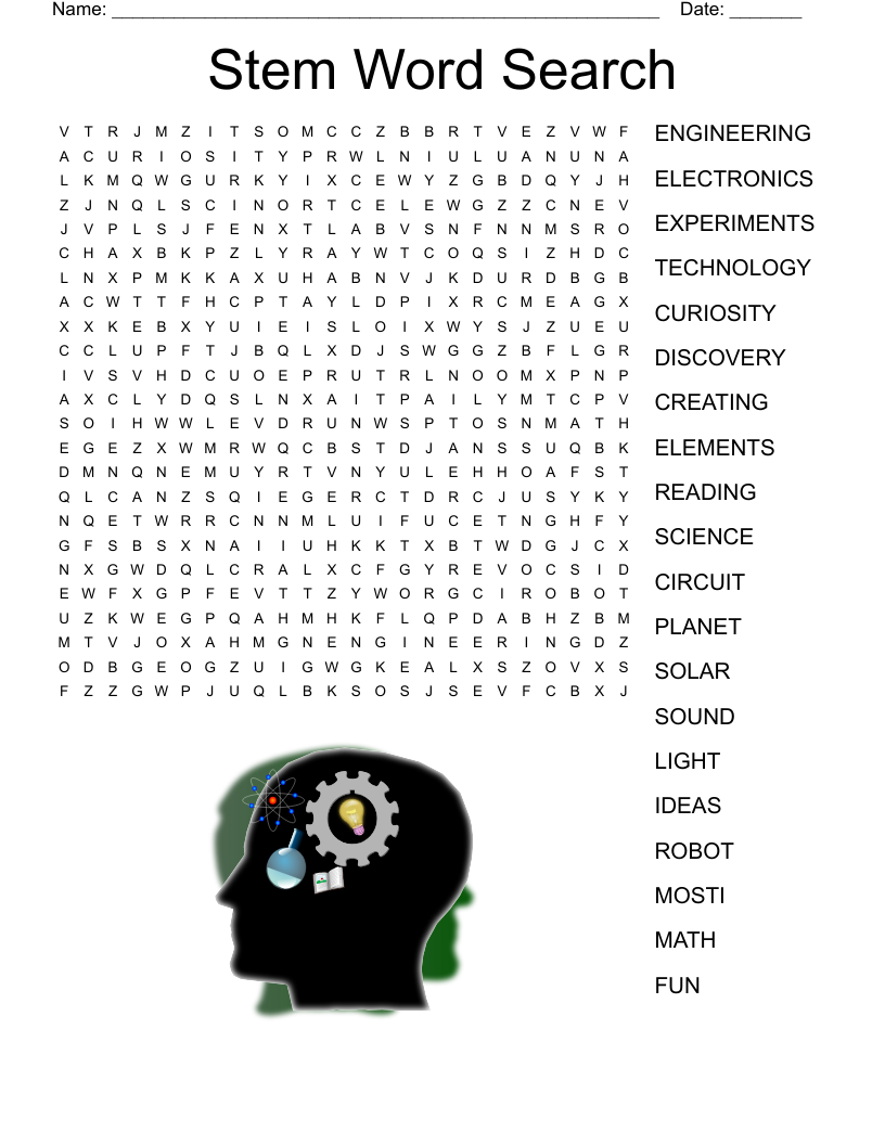 STEM Word Search WordMint