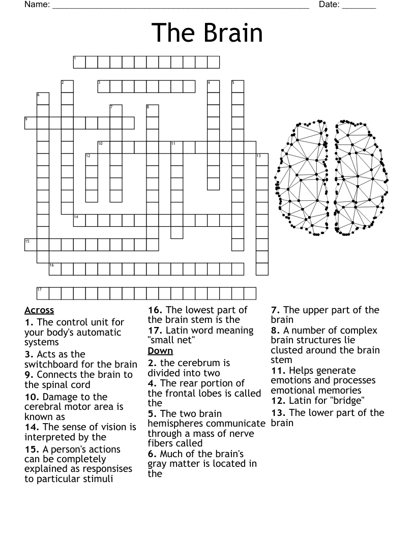 The Brain Word Search WordMint