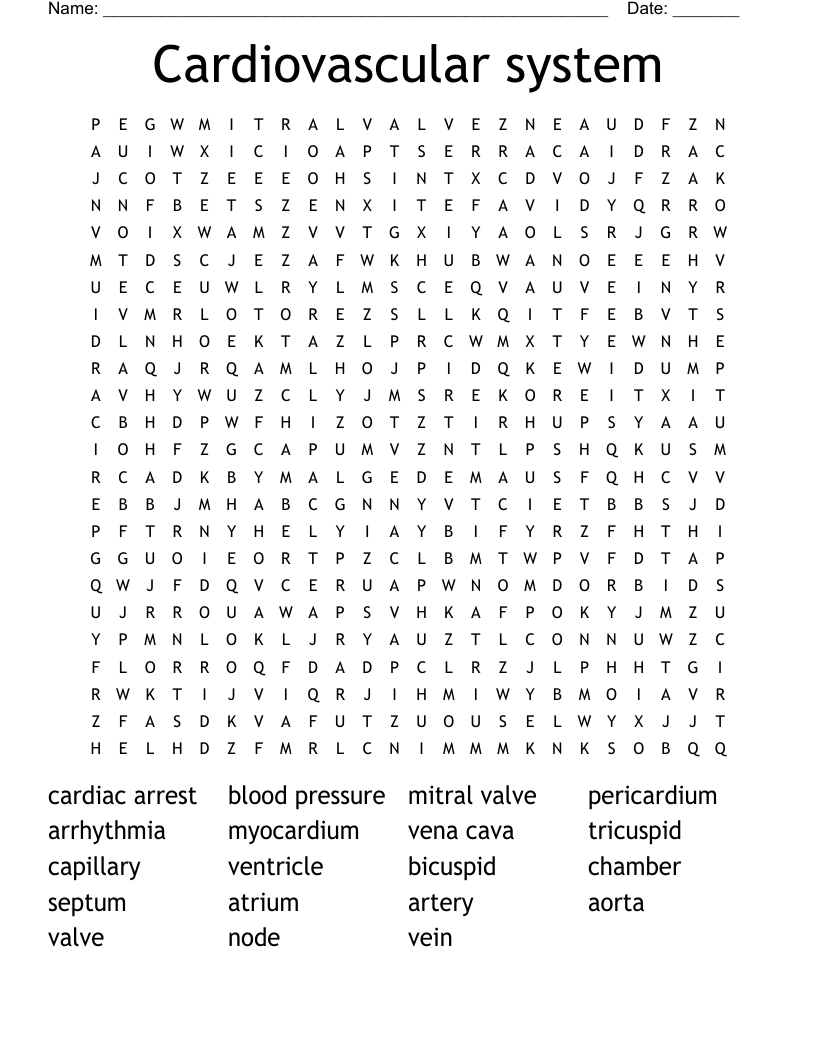Circulatory System Printable Word Search