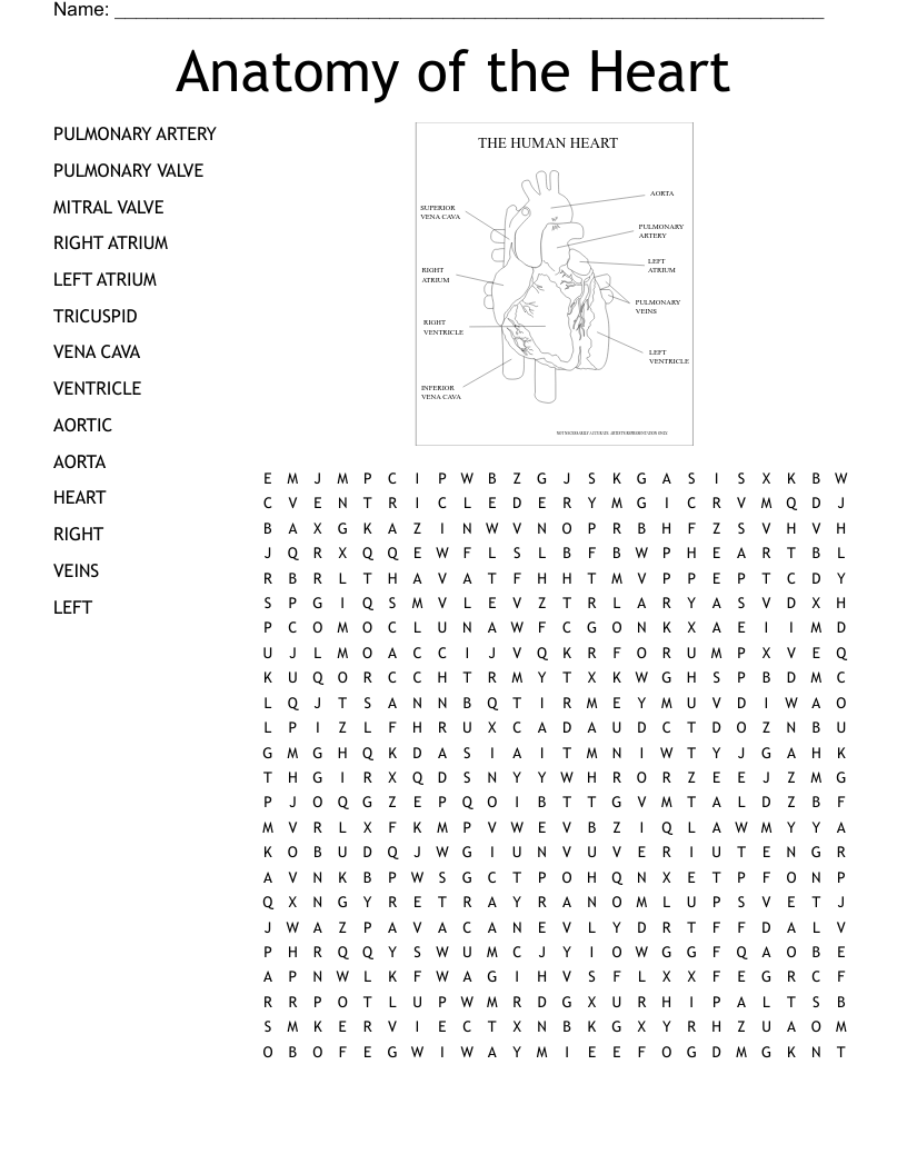 The Healthy Heart Word Find Word Search WordMint