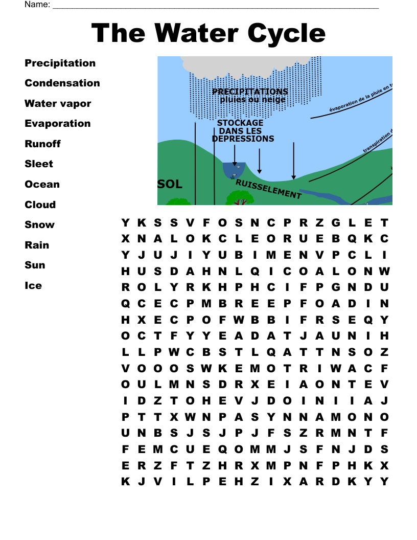 The Water Cycle Word Search WordMint