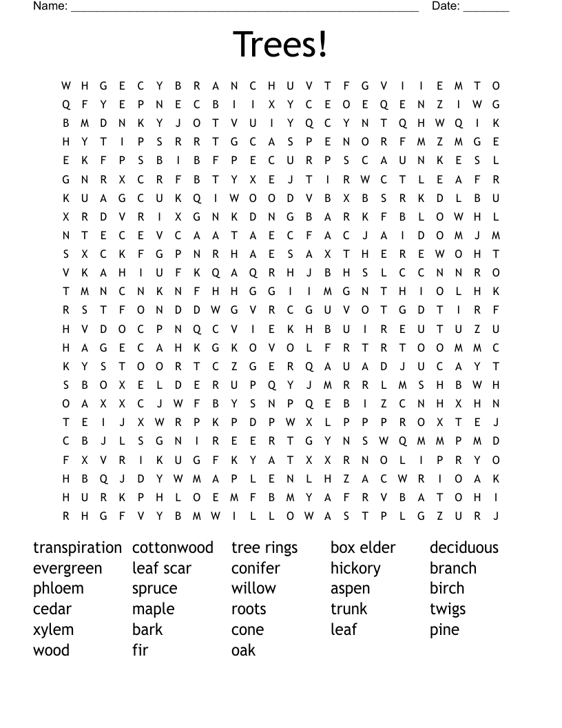 Trees Word Search WordMint