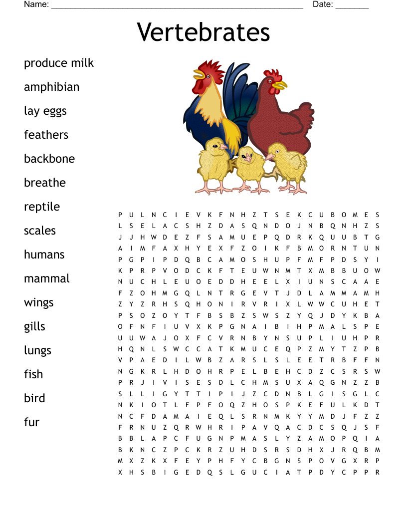Vertebrates Invertebrates Word Search WordMint
