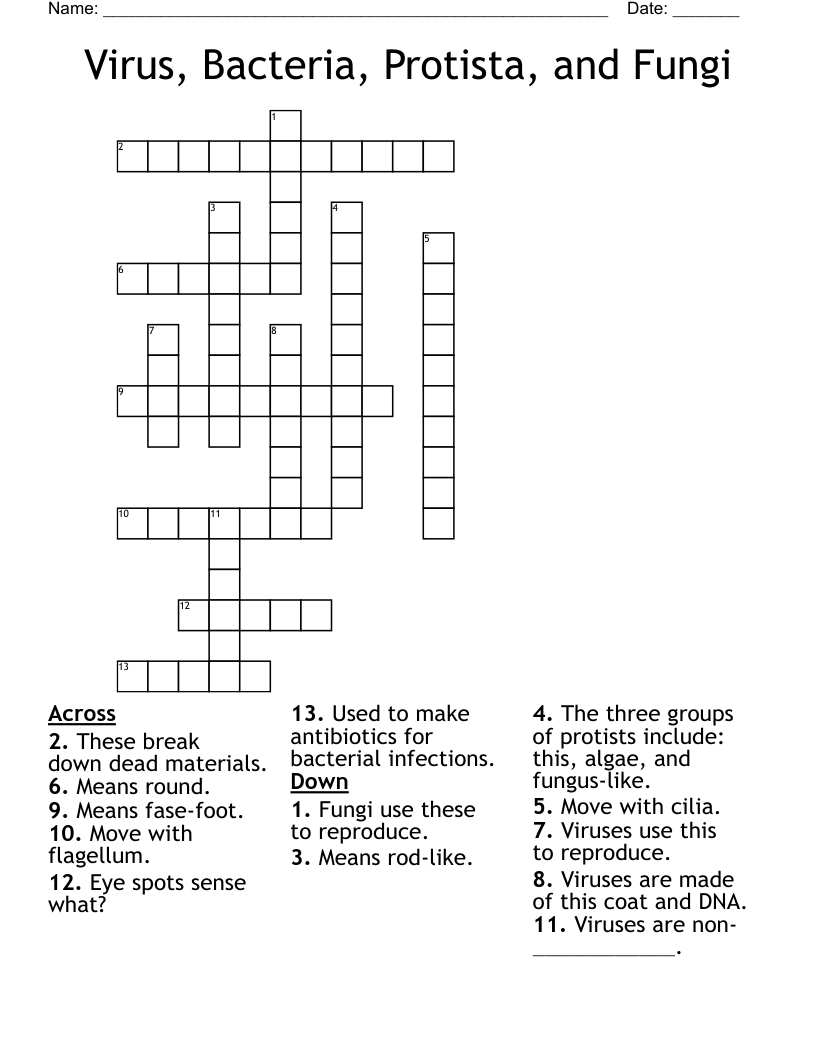 Virus Bacteria Protista And Fungi Crossword WordMint