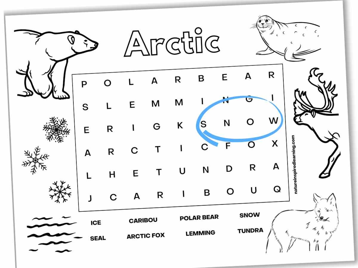Arctic Word Searches Nature Inspired Learning Arctic Word Searches Nature Inspired Learning