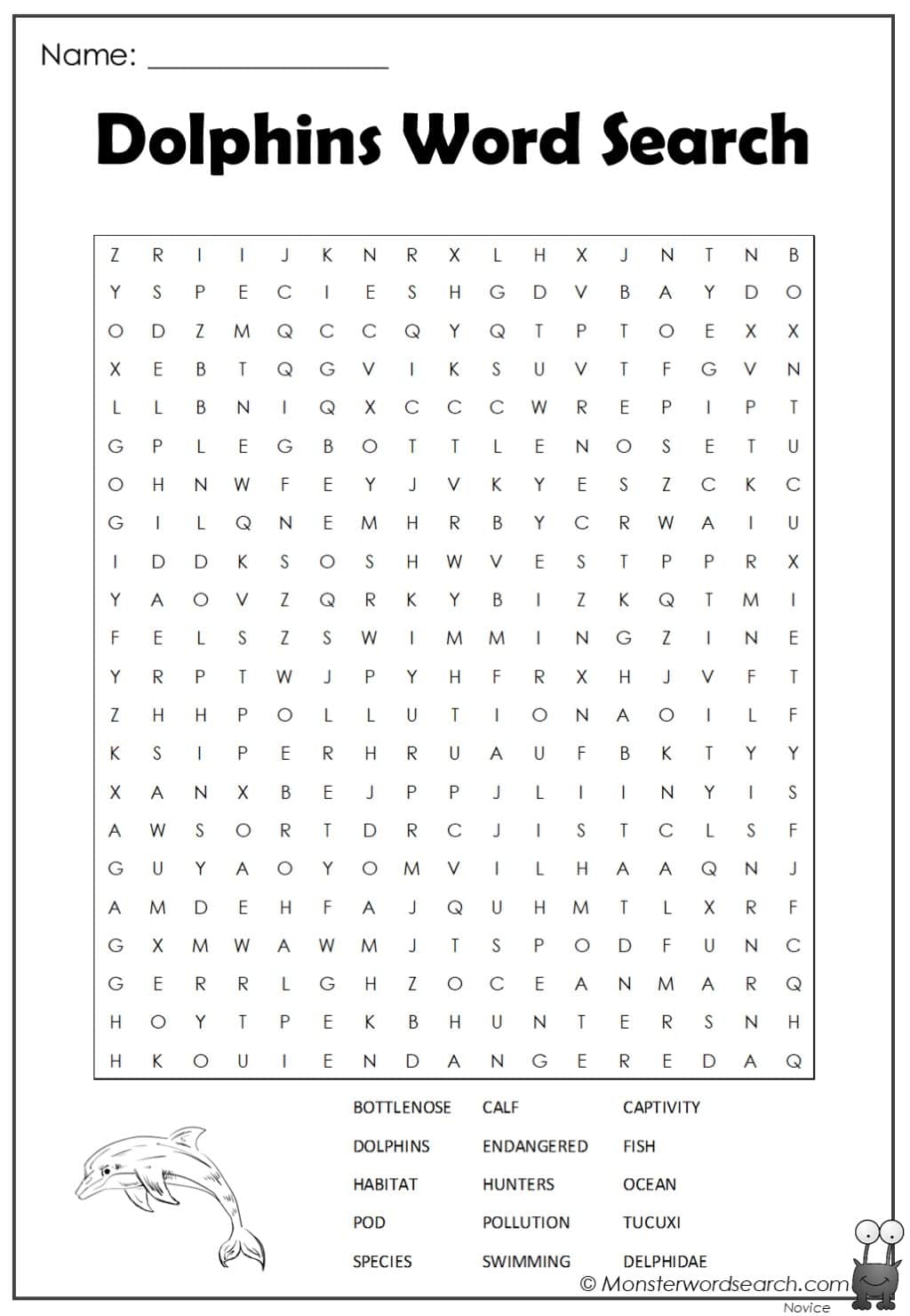 Dolphins Word Search Monster Word Search