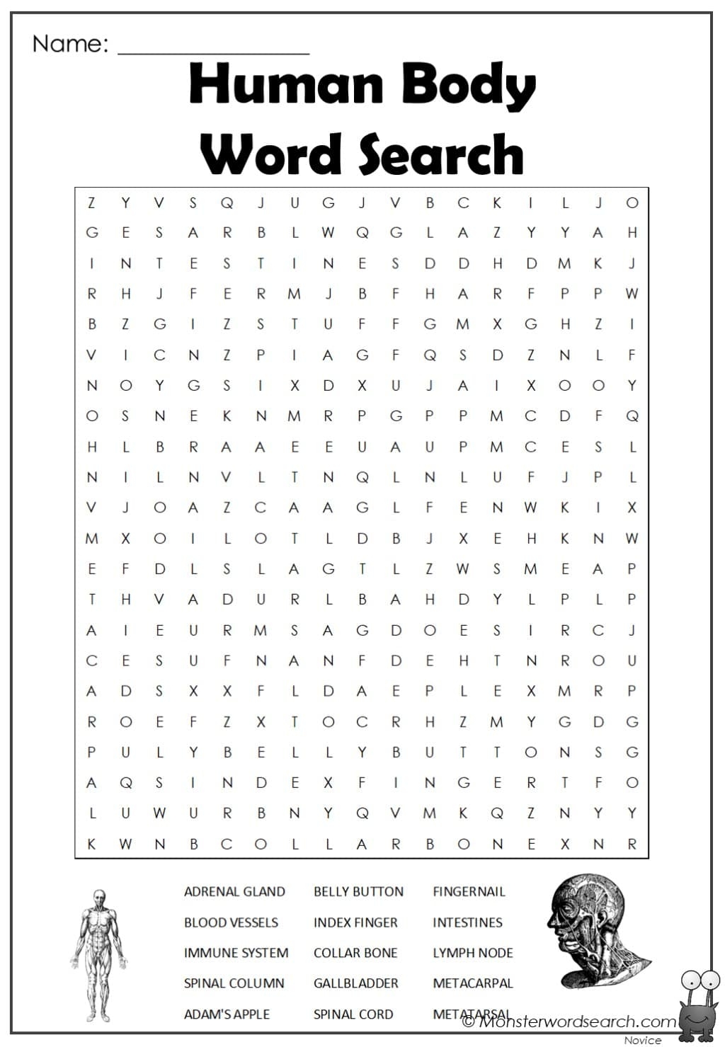 Human Body Word Search Monster Word Search