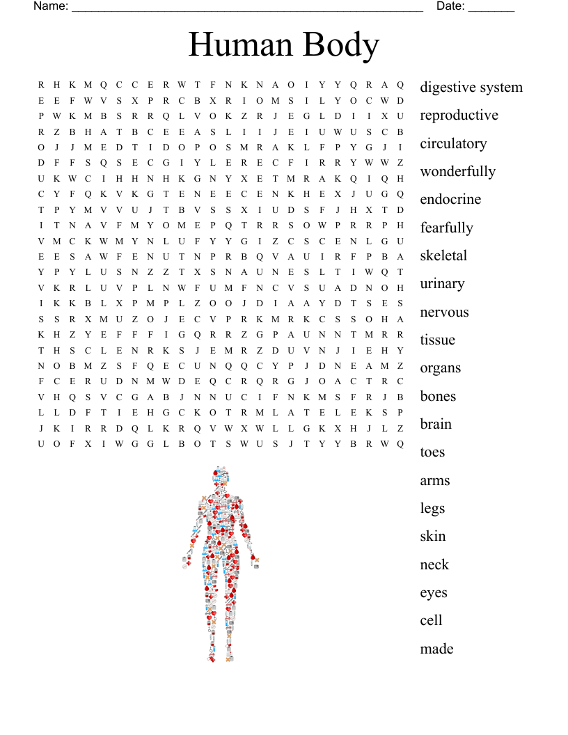 Human Body Word Search WordMint Human Body Word Search WordMint