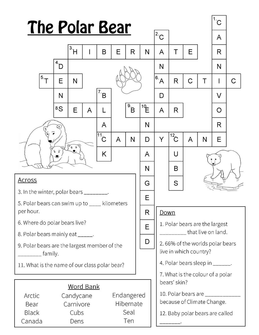 Free Printable Polar Bear Word Search Free Printable Polar Bear Word Search