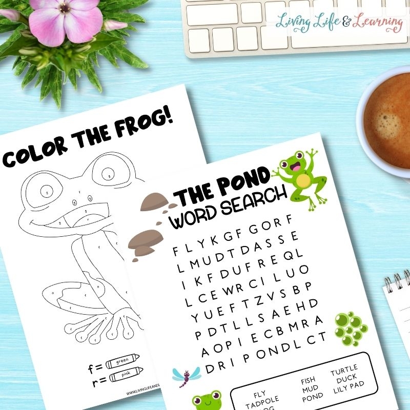 Pond Life Worksheets To Explore Aquatic Creatures