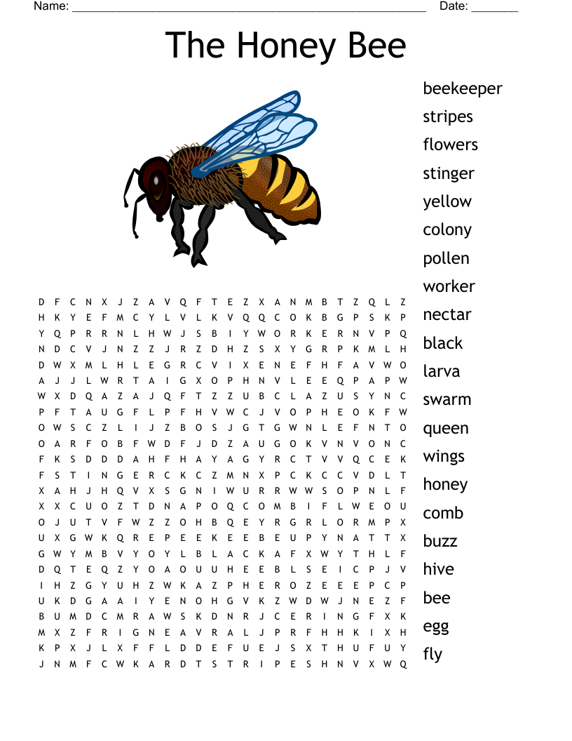 The Honey Bee Word Search WordMint