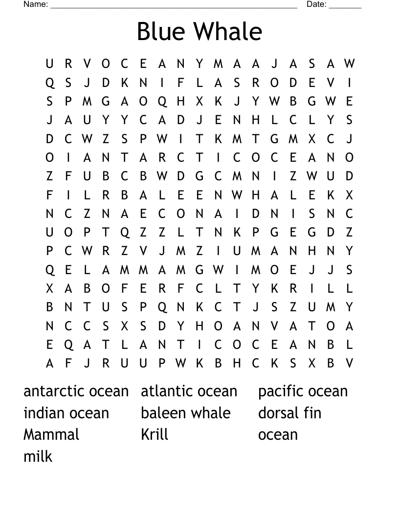 Whale Word Search WordMint